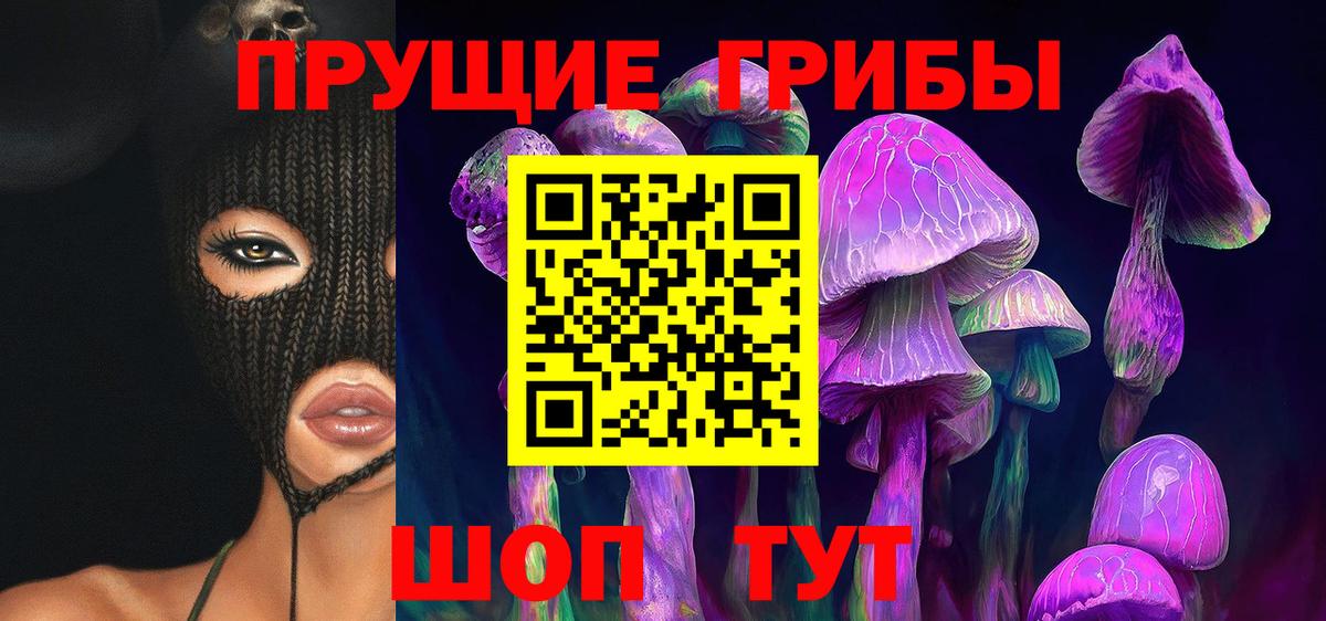 Галлюциногенные грибы Psilocybe Улан-Удэ
